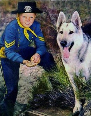 Você Já Ouviu Falar de The Adventures of Rin Tin Tin? Um Cão Heroico e Aventuras Incrivelmente Empolgantes na Era Pós-Guerra!